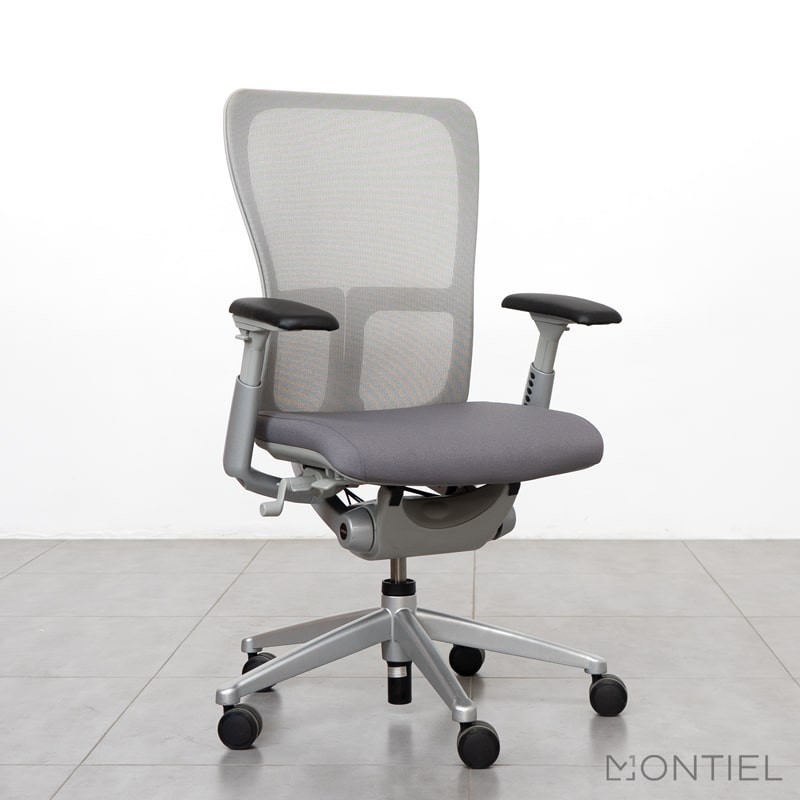 ▷ Silla Ergonómica de Malla Zody de Haworth - Montiel