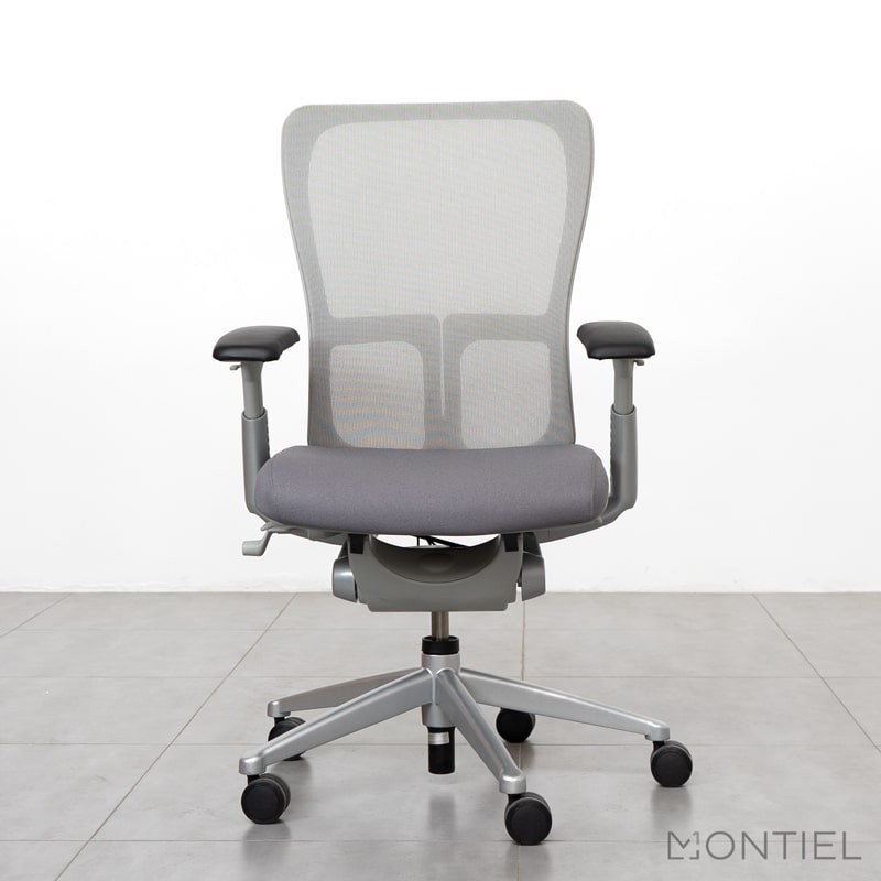 ▷ Silla Ergonómica de Malla Zody de Haworth - Montiel