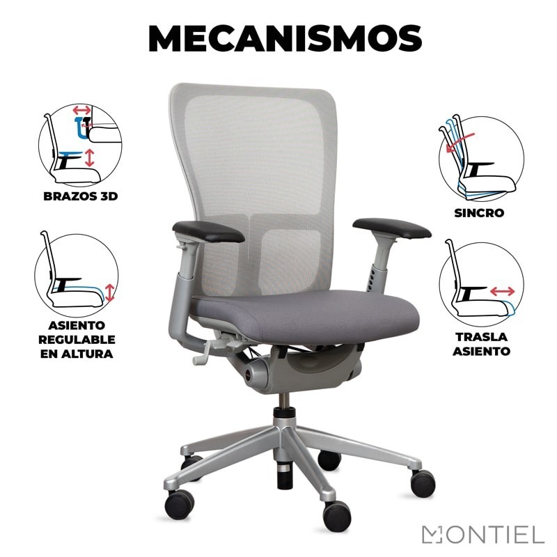 ▷ Silla Ergonómica de Malla Zody de Haworth - Montiel