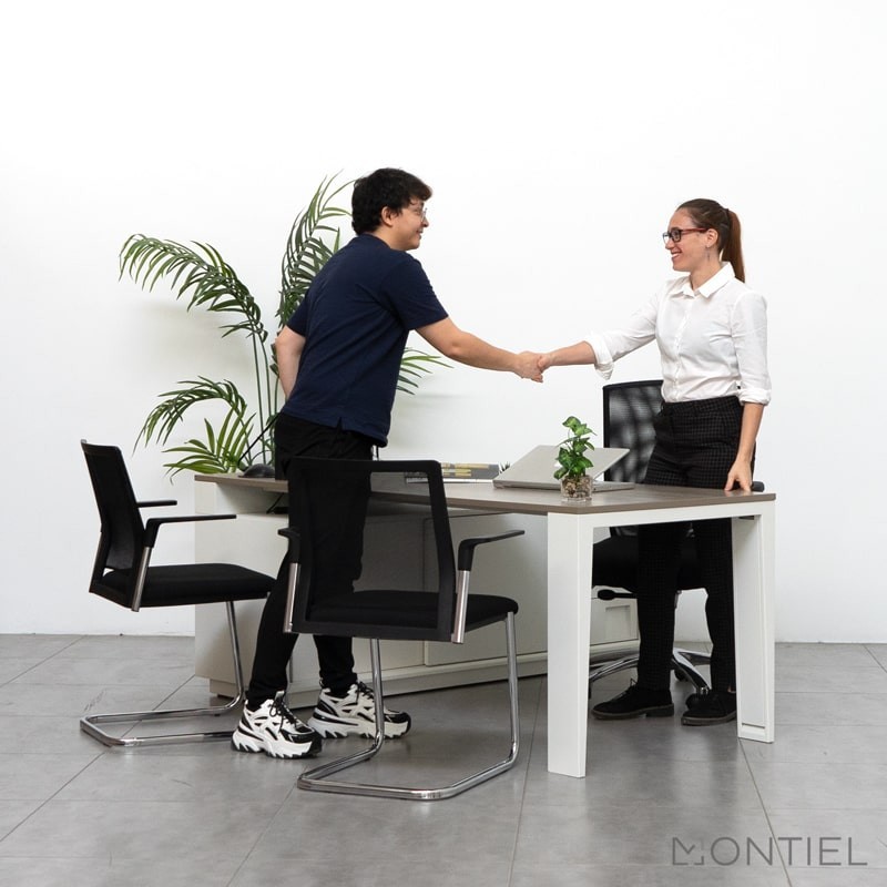 Silla Confidente Malla Negra Plural de Forma 5 - Montiel