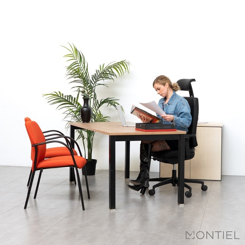 ▷ Silla Confidente Flavia de Forma 5 - Montiel