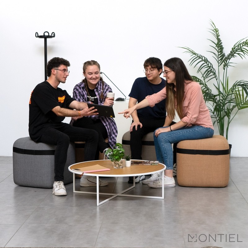 Mesa Baja Auxiliar Estilo Nórdico de Viccarbe - Montiel