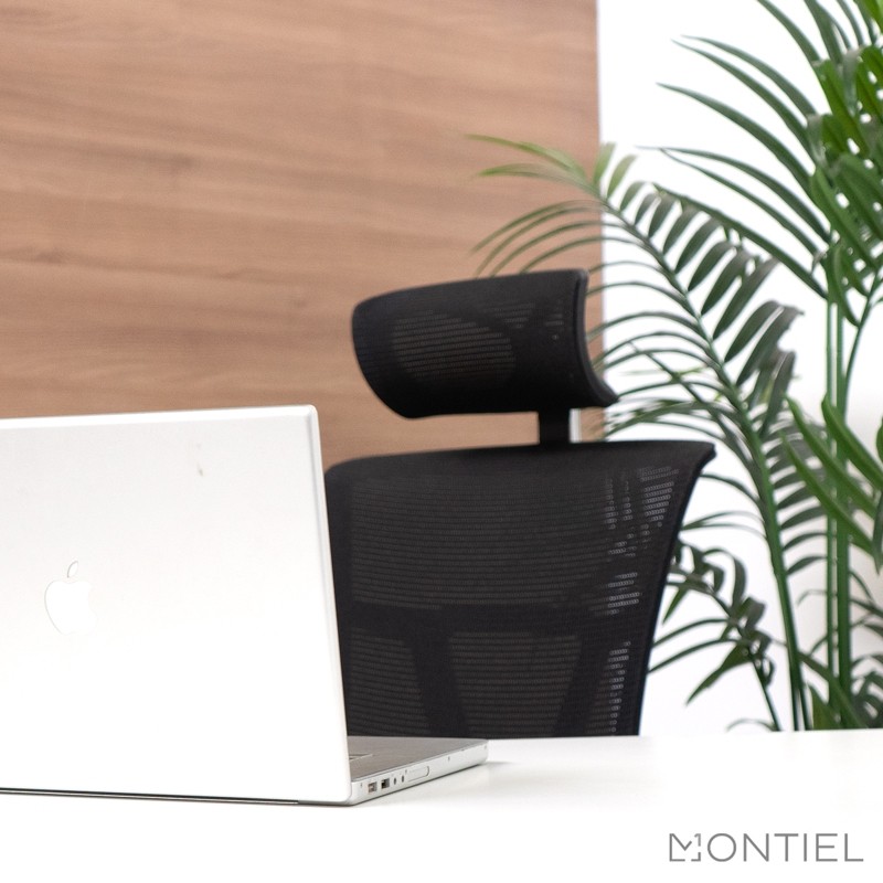 ▷ Silla Ergonómica Ankara GN de Euromof - Oficinas Montiel