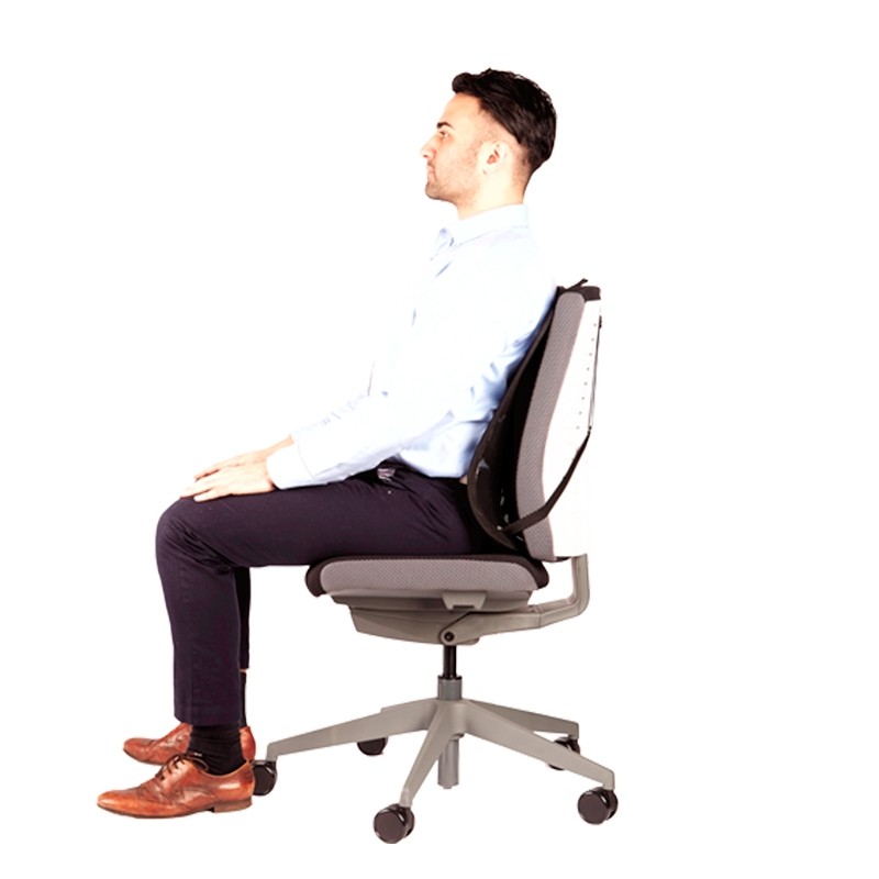 Cojín Ergonómico para Silla Escitorio Mesh Office Suites