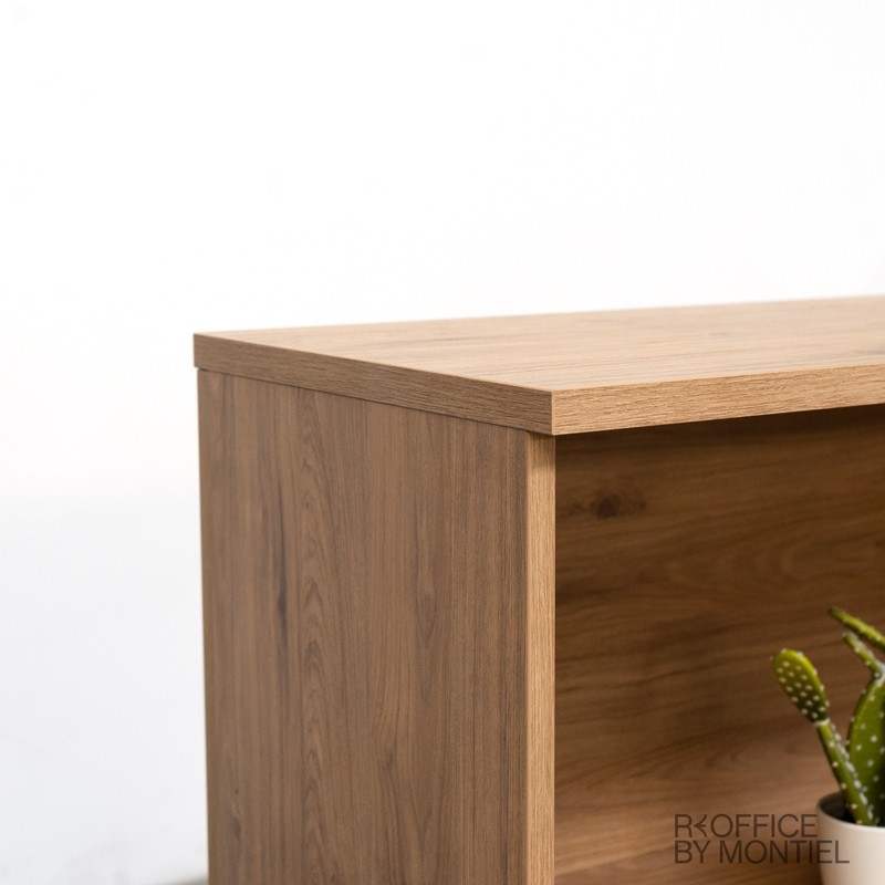 ▷ Armario de Oficina Puertas Bajas y Llave de Herpesa | Montiel