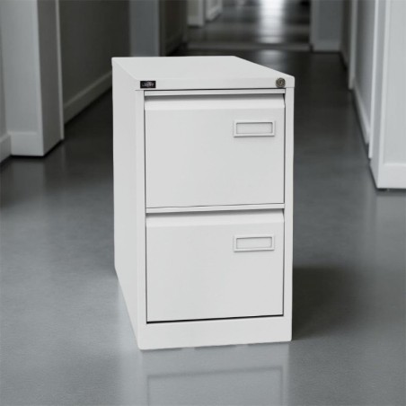 Archivador 2 Cajones Metálico Folio-A4 PSF de Bisley - Montiel