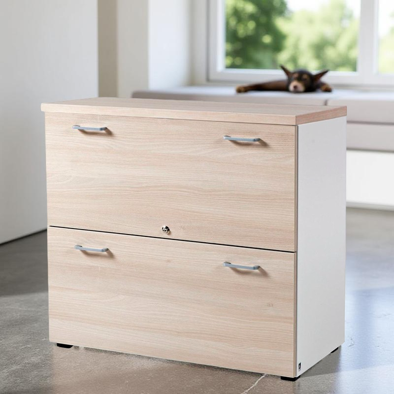 Armario Archivador de Oficina Barato - Oficinas Montiel