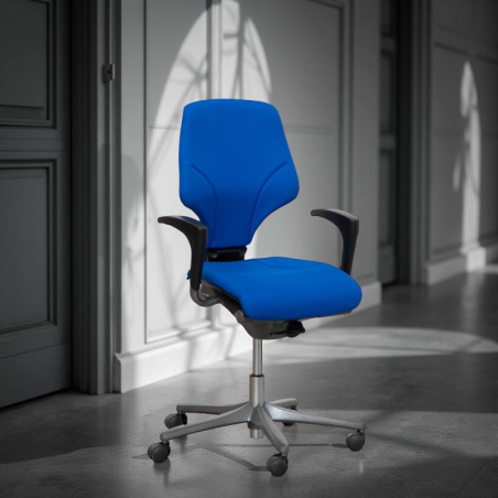 Silla Ergonómica Oficina 64 de Giroflex - Montiel