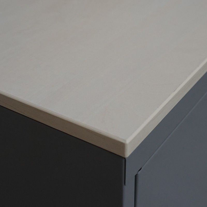 Armario Gris Bajo con Leja Móvil de Levira - Montiel