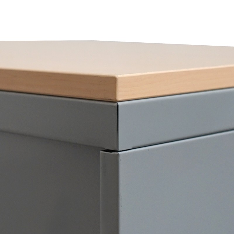 Armario con 2 Puertas Abatibles de Dynamobel - Montiel