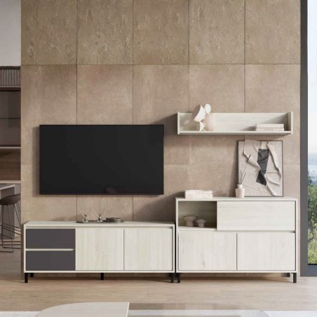 Composición de Muebles para Salón LUX 10 - Montiel