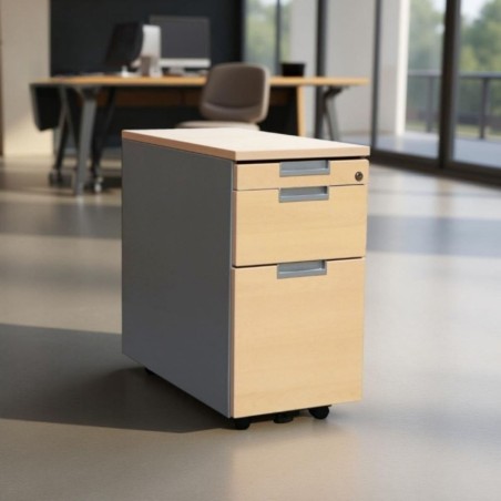 Cajonera Archivador y Plumier de Dynamobel - Montiel