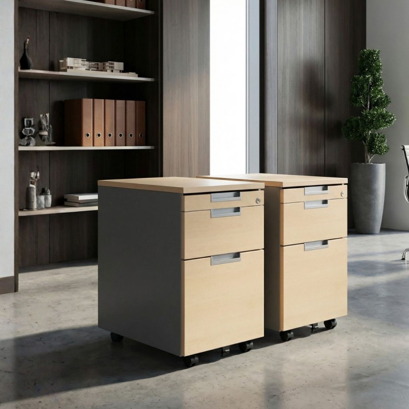 Pack 2 Cajoneras Oficina Cajón y Archivo de Dynamobel - Montiel