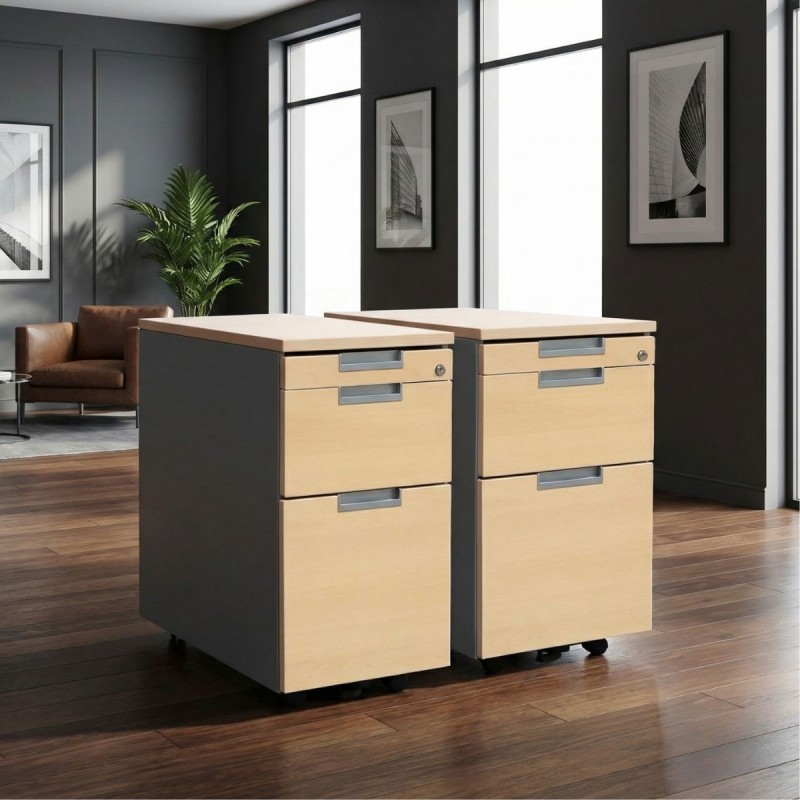 Pack 2 Cajoneras Oficina Cajón y Archivo de Dynamobel - Montiel