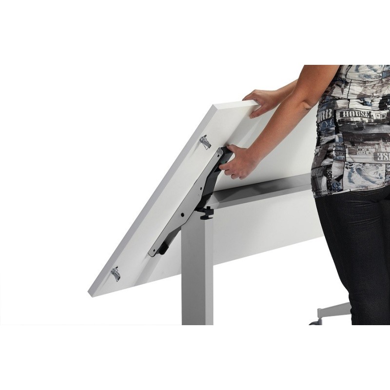 Mesa Operativa T6 de herpesa