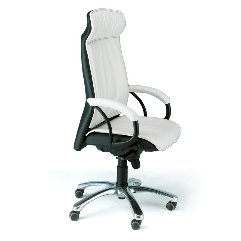 Sillón de Dirección Europa de Herpesa