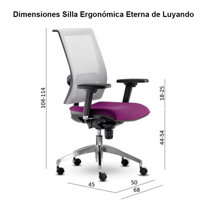 ▷ Silla Ergonómica Eterna de Luyando - Montiel