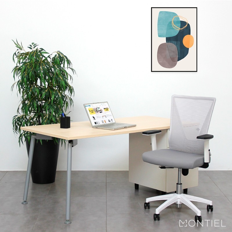 Silla Blanca  Escritorio Tirana de Euromof - Montiel