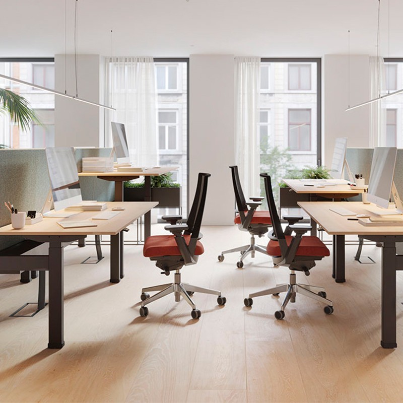 ▷ Multipuesto Elevable Skala de Forma 5 - Montiel