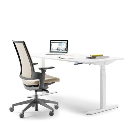 ▷ Mesa de Oficina Elevable Skala de Forma 5 - Montiel