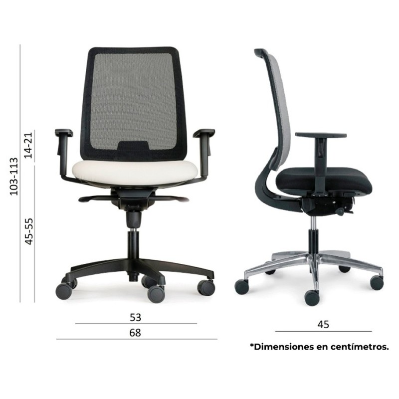 Dimensiones Absolute Malla de Luyando