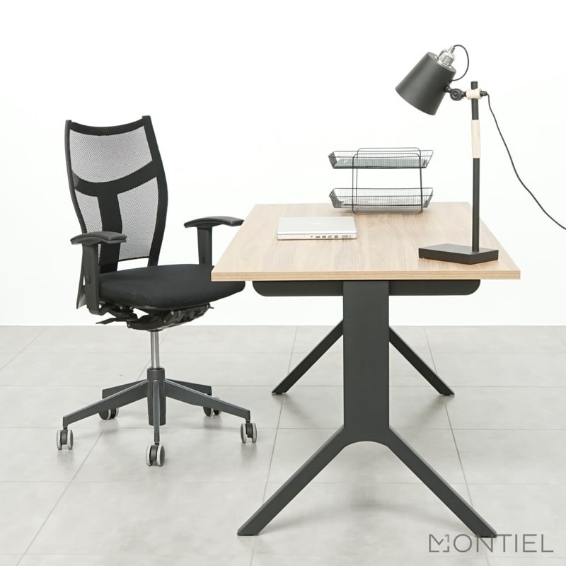 ▷ Silla Ergonómica ZAS de Dynamobel en malla - Montiel
