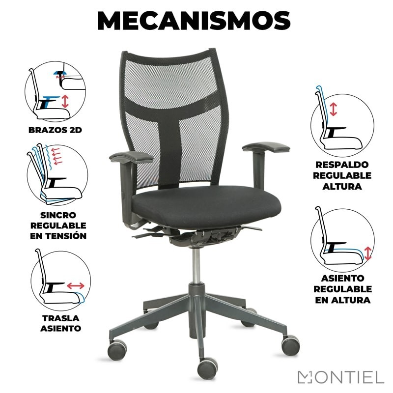 ▷ Silla Ergonómica ZAS de Dynamobel en malla - Montiel