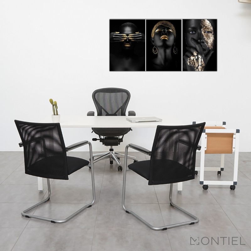 ► Silla Ergonómica Aeron de Herman Miller - Talla B - Montiel