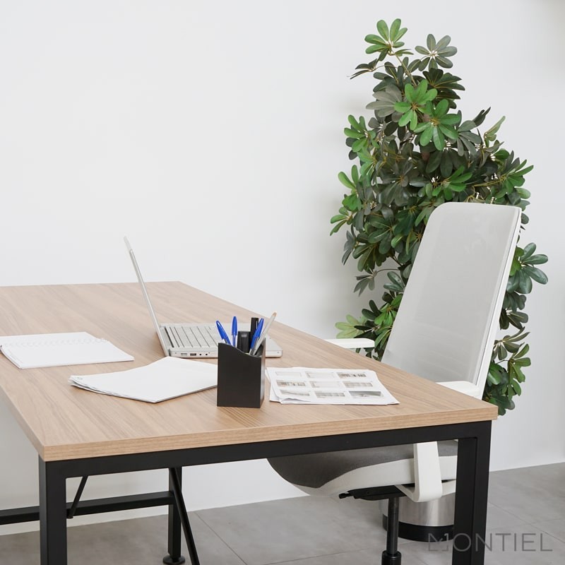 ▷ Mesa Alta de Juntas Ever de Kunna - Montiel