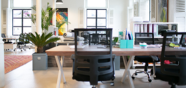 ¿Cuál es la oficina perfecta para trabajar?