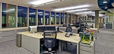 Estación de trabajo: ¿Qué es y cuáles son sus beneficios?