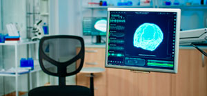 Cómo aprovechar la neurociencia para diseñar oficinas que optimicen el rendimiento cerebral