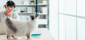 Cómo reparar un escritorio que cruje al apoyarse en él